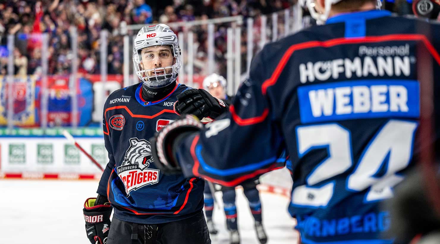 Fünf Ice Tigers in der DEB-Auswahl