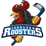 Iserlohn Roosters logo