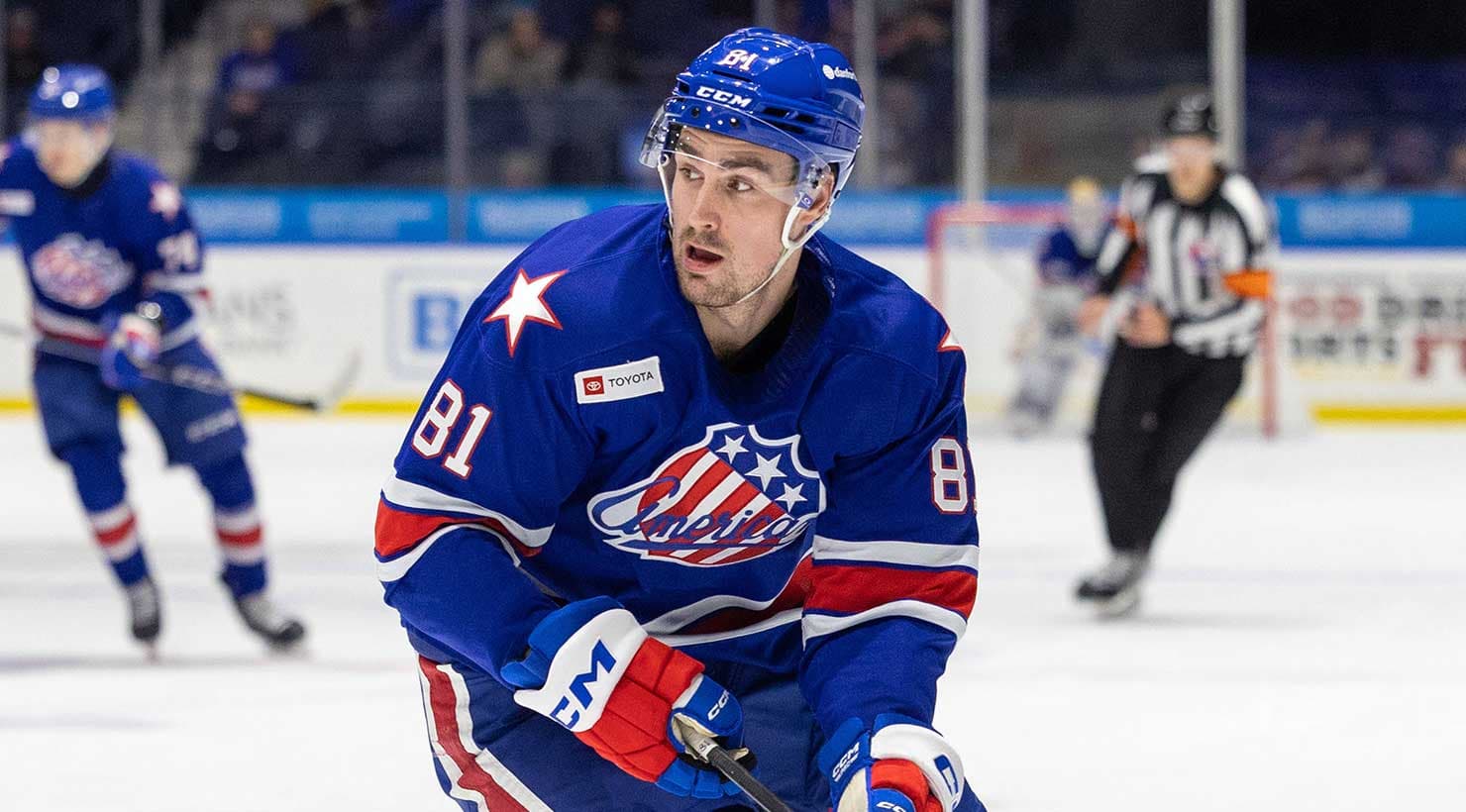 Brett Murray verstärkt die Ice Tigers