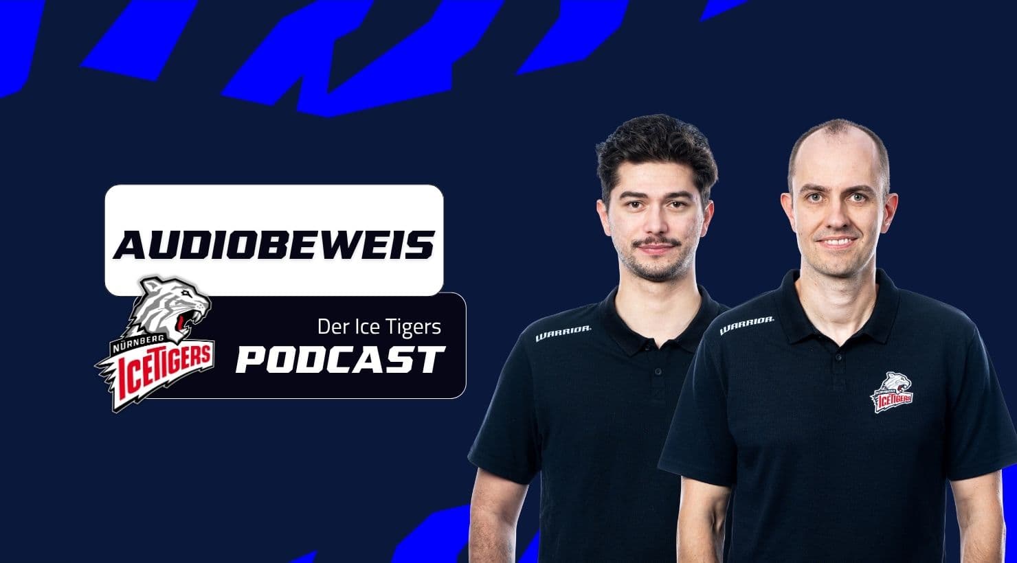 AUDIOBEWEIS LIVE mit Roman Horlamus 